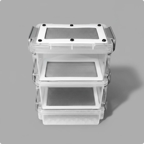 Mealworm breeding box - mealworm,