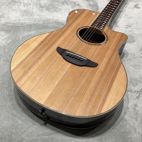 Yamaha apx600nt - yamaha, (no260604)