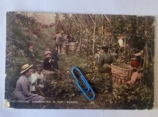 “Hop-Picking” Commencing A Hop-Garden Kent Animated View Posted 1907