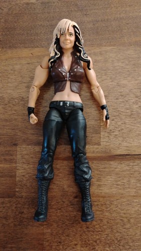 2013 wwe mattel - wwe,