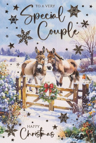 Special couple christmas - special,