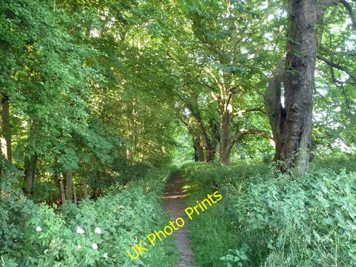Photo 6x4 course old - 6x4,