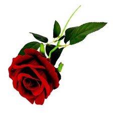 6x Luxury Soft Touch Roses -