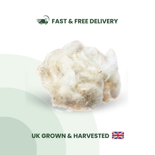 Raw merino dorset down - merino,