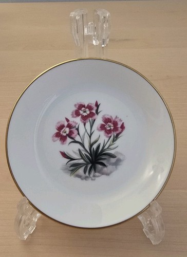 Royal worcester fine bone - fine,