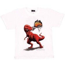 DINOGEAR. DINOSOLE CHILDRENS T-SHIRT. WHITE.AGE 6-7 YEARS. BNWT. TOCKING FILLER!