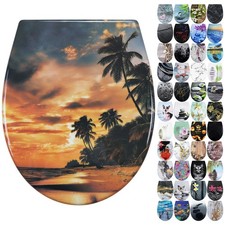 Duroplast Soft Close Toilet