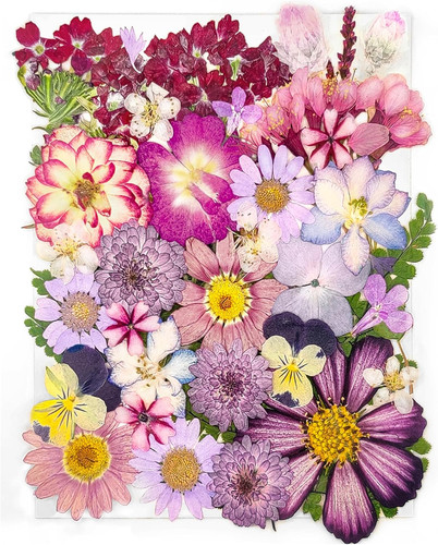 Types 37pcs purple dried - 15,