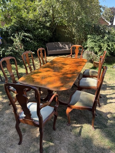 Burr walnut brights - walnut,
