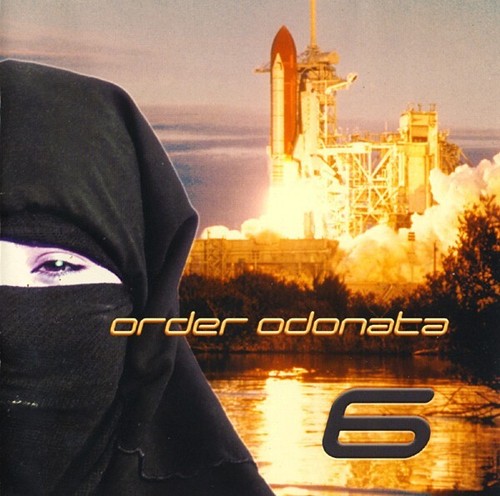 Dragonfly records order - dragonfly,