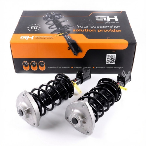 Complete struts assembly - complete,