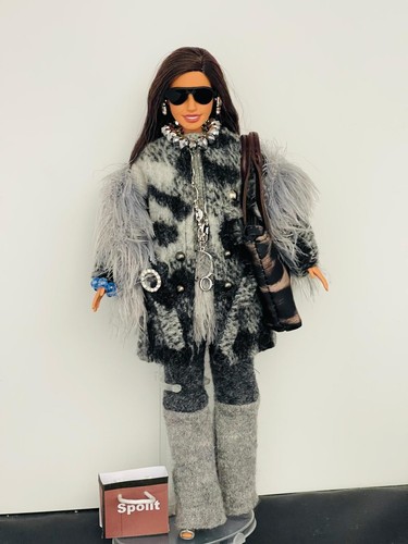 Barbie doll with luxury