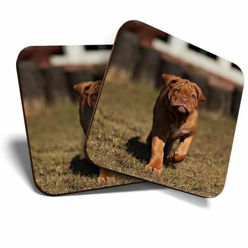 Coasters bordeaux - coasters,