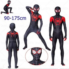 The Amazing SpiderMan Cosplay