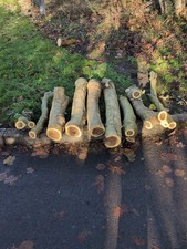 Laburnum Logs for Sale Various