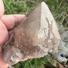 Smoky Quartz Large Crystal