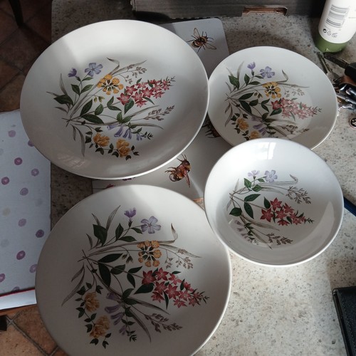 Ridgway english garden - english, small