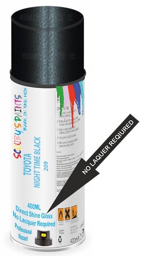 209 direct shine - paint, spray