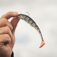Fox rage scent shads - fox,