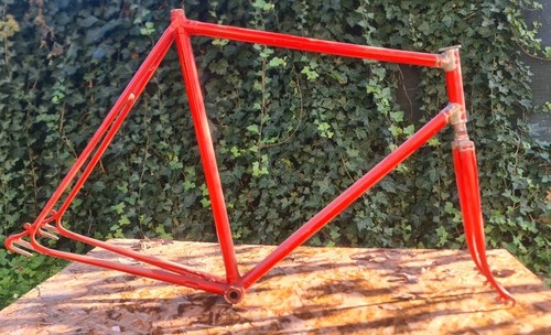 Bottecchia campagnolo lever - bottecchia, 2