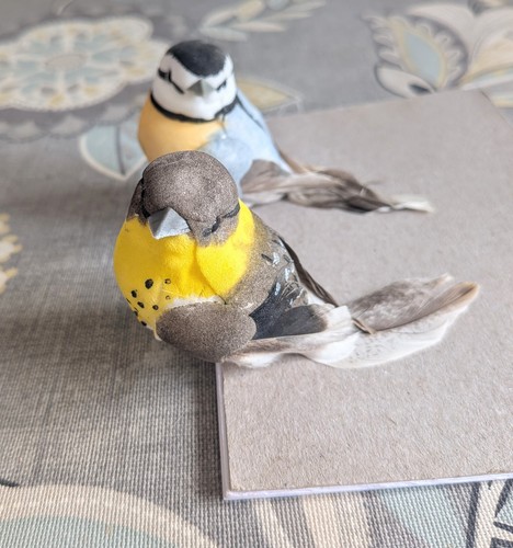 Stunning decorative blue tit - decorative,
