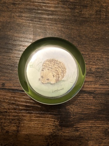 Vintage glass dome