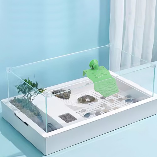 Turtle sunbathing platform - turtle,