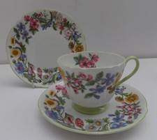 SHELLEY HEDGEROW TRIO CUP