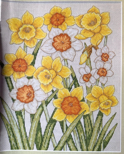 Spring seasonal tulips - seasonal,