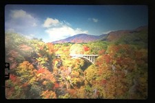 [ Mint ] Olympus OM-1 SIiver