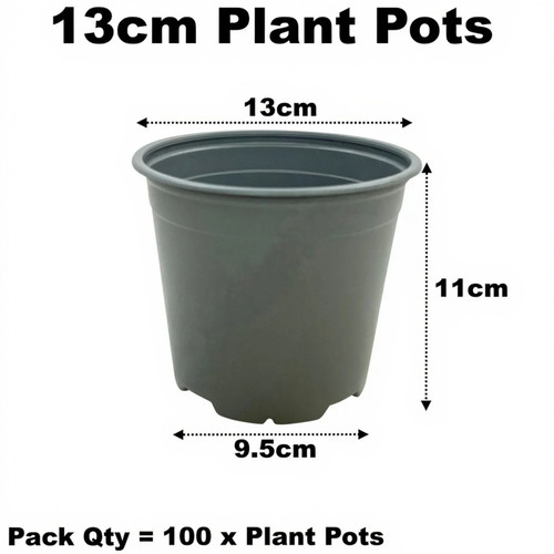 13cm plant pots litre - plant, 1