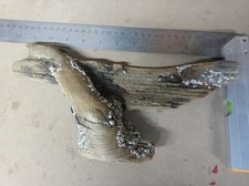 Unique Barnacled Driftwood Piece 28x13cm Ideal For Craft Or An Ornament 