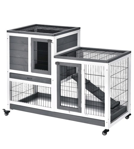 Rabbit hutch guinea pig - pig, house