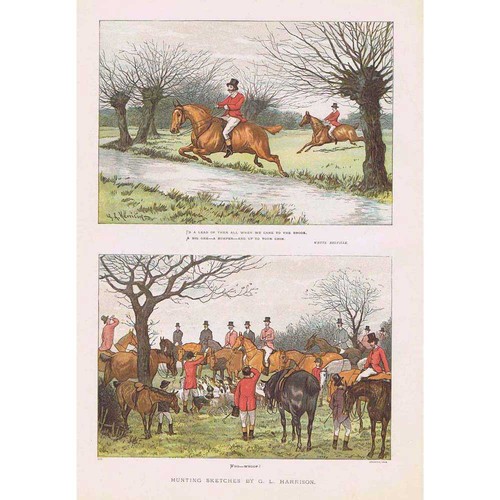 Harrison victorian fox - gl,