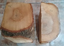 Lot 96, Oak   Slices woodturning  blanks,carving,craft wood 6.4kg
