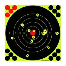 Splatter Target 8"  Shoot