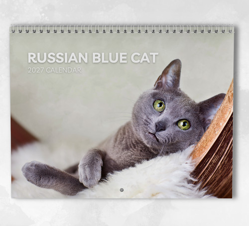 Russian blue cat calendar - blue,