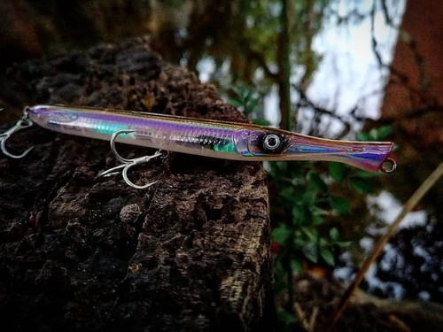 Fishus lurenzo don belone - lurenzo,