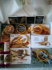 Personalised bearded dragon