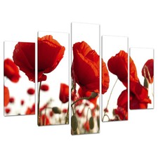 Set of Five Red Poppy Canvas