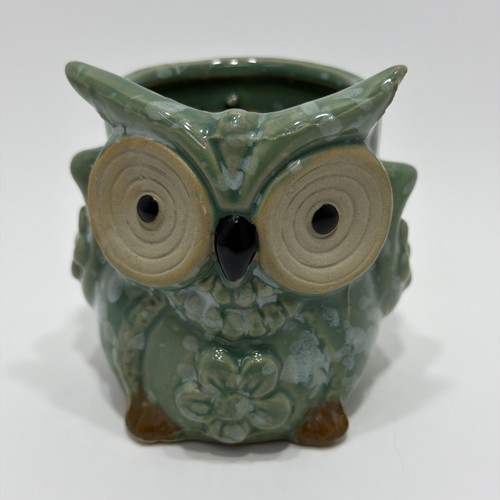 Owl planter pot - pot, succulent