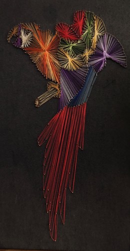 Vintage nail string art macaw - string,