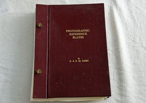 Vintage photographic reference - photographic,