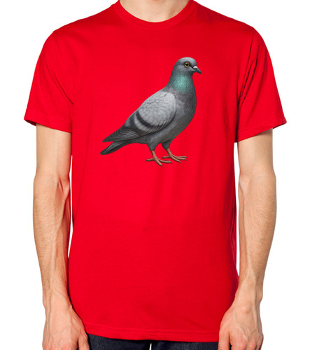 Pigeon shirt - pigeon, t-shirt