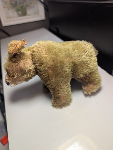 Steiff bear - steiff,