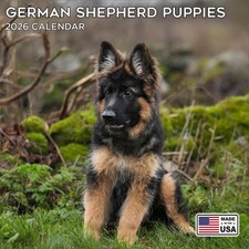 German Shepherd Pups Calendar