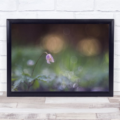 Floral botanical pastel colour - pastel,