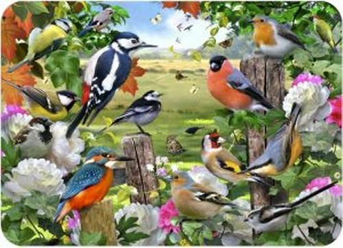 British birds tuftop - british,