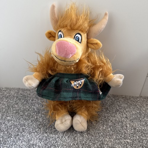 Corrie the highland cow crieff - the,