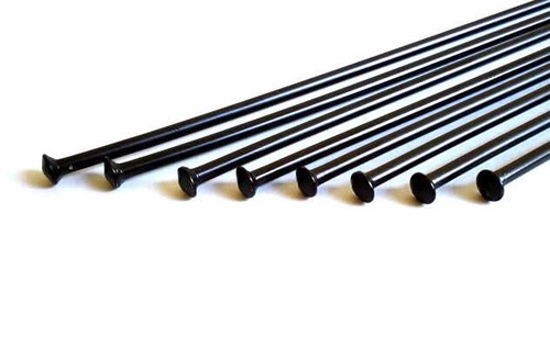 Sapim 14g straight - 14g, (2.0mm)